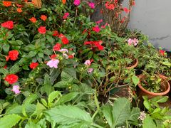-木王宴语·野生鲜菌火锅(玉河店)