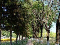 -汉长安城未央宫国家考古遗址公园