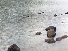 -南丫岛