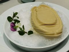 -蝶园·装修中(BFC外滩金融中心店)