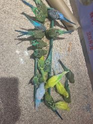 -金都微美·精准护肤·疗愈SPA