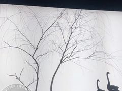 -BLACKSWAN黑天鹅(环球店)
