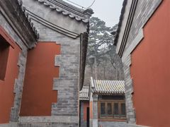 -阳台山自然风景区