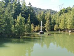 -广州市帽峰山景区