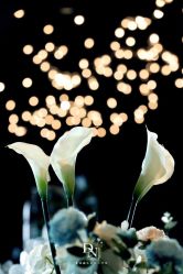 -西安威斯汀大酒店·宴会厅