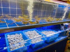 -星椰叻沙·椰浆鲜虾面(江南西店)