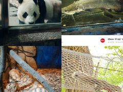 -泉州海丝野生动物世界