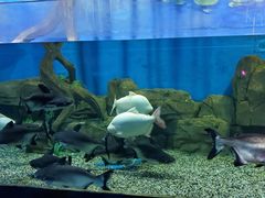 -石林冰雪海洋世界