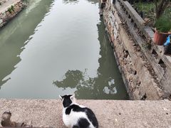 -锦溪古镇