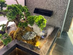 -望湘园·洞庭渔宴(浦江欢乐颂店)