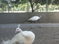 -第五季龙水凤港生态露营农场