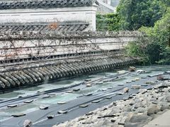-善园(月湖盛园店)
