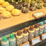 邦德叔叔咖啡店来普陀啦！