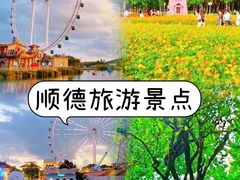 -陶缘一号·四季缘·老字号顺德菜·户外婚礼家宴(西滘店)