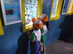 -北戴河圣蓝海洋公园