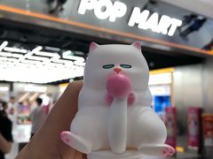 -泡泡玛特POPMART(合生汇店)