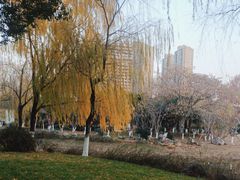 -堤角公园