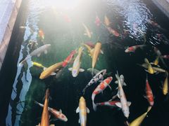 -甘尼仕印度餐厅酒吧(斜塘老街店)