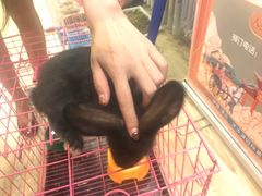 -MOJO密室逃脱(中街旗舰店)