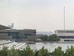 -羲和雅苑•北京烤鸭(乐园道万象城店)