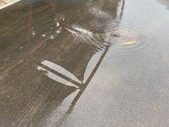 -北戴河圣蓝海洋公园