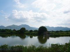 -盐洲岛