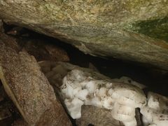 -秦岭终南山世界地质公园翠华山景区