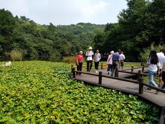 -天目湖山水园