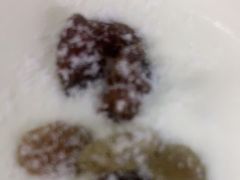 -糕小爱动物奶油生日蛋糕定制(晋江万达店)