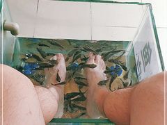 -黄龙溪古镇