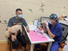 -北京观赏动物医院·24小时大型综合·猫专科·异宠专科