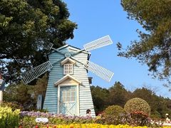 -铁山坪森林公园