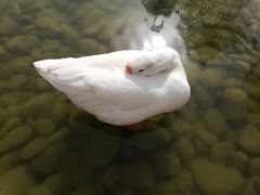 -黄河三峡风景名胜区