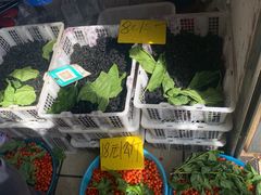 -五里多农博广场