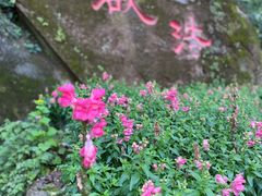 -重庆平顶山公园