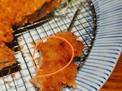 -堂本家洋食别馆·炸猪排(中心城店)