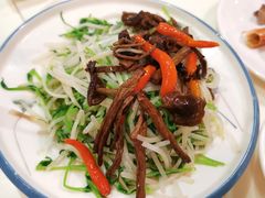 山珍翡翠苗-禄興記香港大排档(歌斐中心店)
