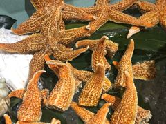 -盛宴自助餐厅(运达喜来登店)