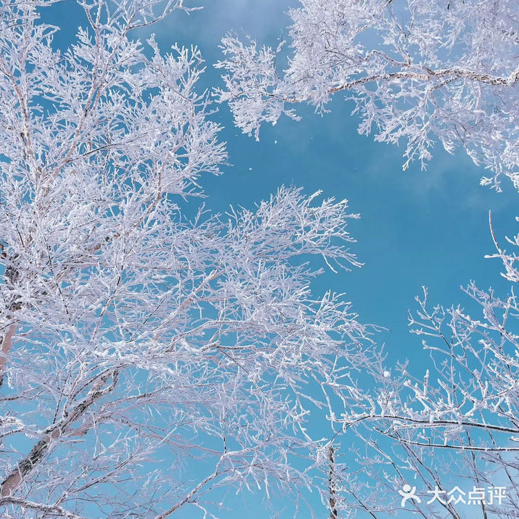雪乡交通最实用攻略:（一）离雪乡最近的高铁站