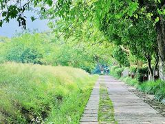 -八卦田遗址公园
