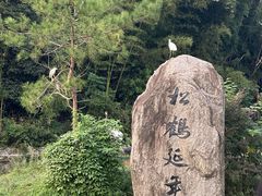 -杭州野生动物世界