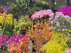 -溪岸路花鸟市场