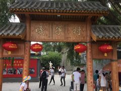 -白洋淀景区