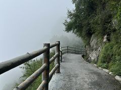 -少华山国家森林公园