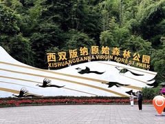 -西双版纳原始森林公园