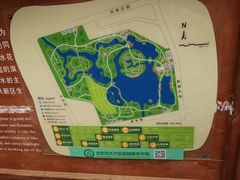 -大兴滨河森林公园