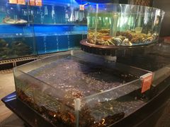 -王家渡火锅店(亦庄店)