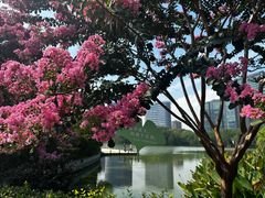 -杭州城北体育公园