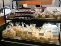 -多乐之日(公益西桥店)