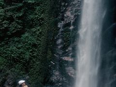 -莫里热带雨林景区
